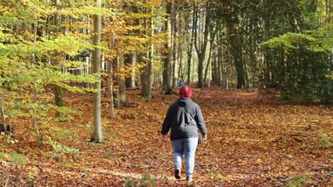 A-red-haired-woman-walks-through-an-autumn-forest-in-Sauerland