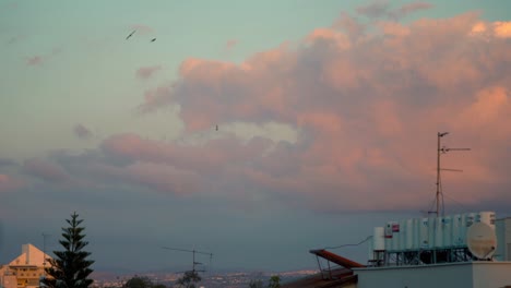 Atemberaubende-Wolken,-Die-Während-Des-Sonnenuntergangs-über-Den-Gebäudedächern-Surfen,-Fliegende-Vögel,-Bunter-Himmel,-Naher-Osten,-Tel-Aviv,-Israel,-Sony-4K-Video