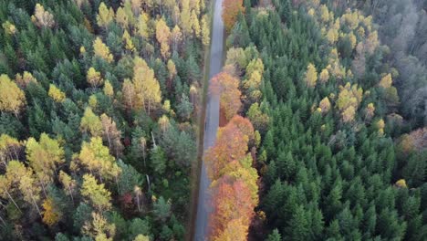 Aerial-view-of-a-road-slicing-through-autumnal-forest