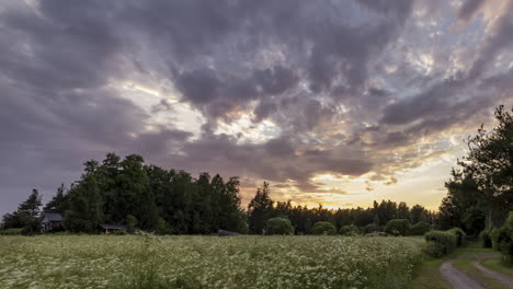 Idyllische-Sommerwiese-In-Finnland,-Sonnenuntergang-Im-Zeitraffer