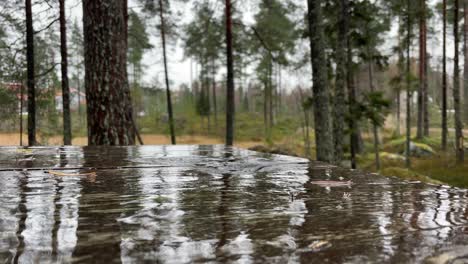 Light-Rain-Falls-On-Outdoor-Table-in-the-forest,-Close-up