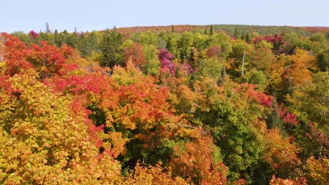 Eine-Hochgeschwindigkeits-Drohnenaufnahme,-Die-An-Einem-Sonnigen-Herbsttag-Tief-über-Und-Durch-Die-Wunderschönen,-Lebendigen-Herbstbaumwipfel-Eines-Waldes-Fliegt