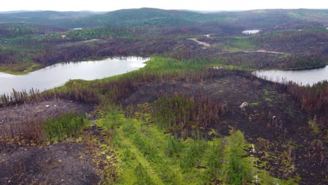 Meilen-Kanadischer-Waldflächen-Wurden-Durch-Eine-Heftige-Waldbrandsaison-Bis-Auf-Die-Grundmauern-Niedergebrannt