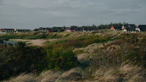 Amusing-meadows-of-Jutland-Batlic-sea-Heligoland-Denmark