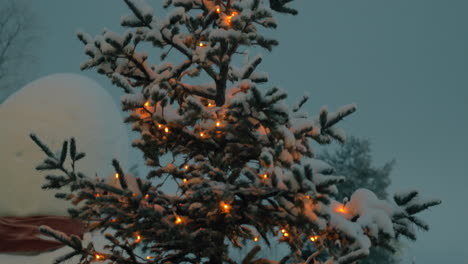 Abendansicht-Des-Weihnachtsbaums-Mit-Lichtern