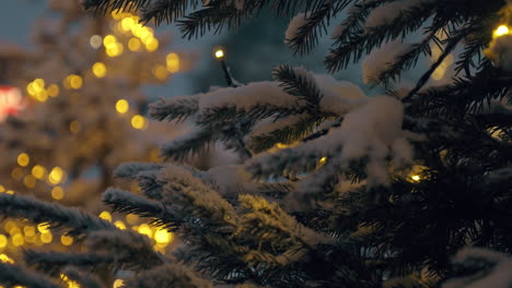 Tannenbäume-Mit-Weihnachtsbeleuchtung-Im-Verschneiten-Abendpark