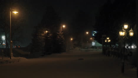 Night-view-of-snowy-avenue-with-fir-trees-and-lanterns