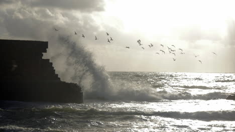 Skyline-seascape-with-flying-sea-gulls-and-ancient-wall