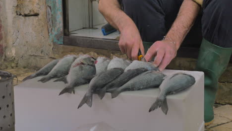 Man-cleaning-fish-to-prepare-it-for-sale
