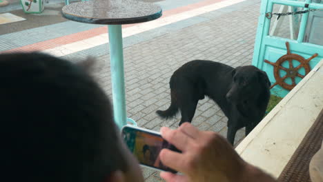 Man-with-cell-phone-taking-picture-of-stray-dog