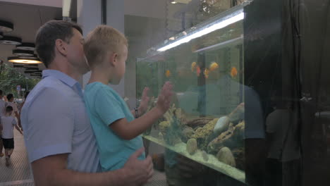 Vater-Und-Kind-Beobachten-Fische-Im-Schaufensteraquarium