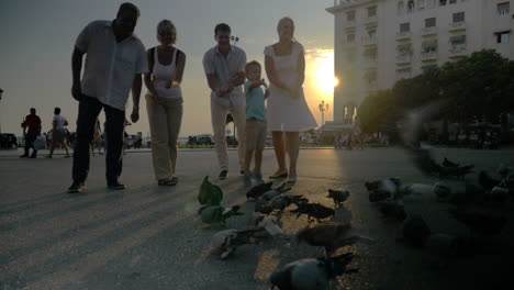 United-Family-Feeding-Pigeons-on-the-Street