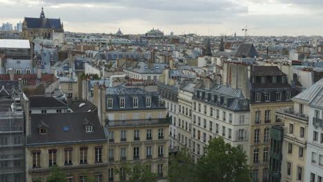 Panorama-of-Paris-with-flying-pigeons