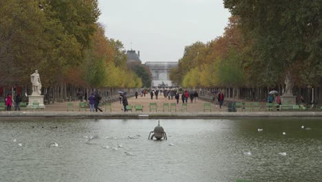 Vögel-Schwimmen-Im-Brunnen-Im-Garten-Des-Place-Du-Carrousel-In-Der-Nähe-Des-Louvre-Palastes