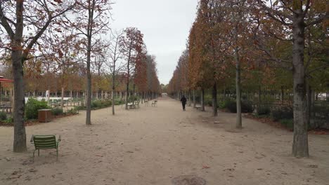 Pariser-Jogger-Läuft-Am-Frühen-Herbstmorgen-Im-Place-Du-Carrousel-Garden
