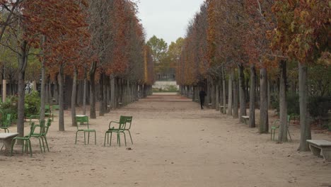 Pariser-Jogger-Läuft-Am-Frühen-Regnerischen-Morgen-Des-Herbstes-Im-Place-Du-Carrousel-Garden