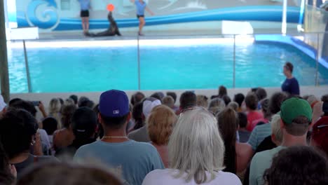 People-crowd-watching-Sea-lion-dolphin-show-at-the-Gulfarium-Marine-adventure-park-in-Destin-fort-walton-beach-Florida