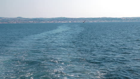 Bootsspur-Im-Meer-Eine-Möwe,-Die-Vor-Dem-Hintergrund-Einer-Wunderschönen-Meereslandschaft-Fliegt,-Ist-Weit-Weg