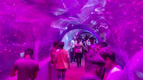 People-are-watching-fish-in-the-underwater-tunnel,-people-are-walking-in-the-pink-aquarium-at-night