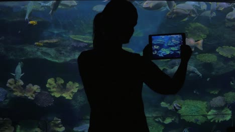Oceanarium-visitor-taking-photos-with-tablet-PC