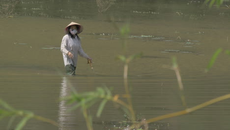 Mujer-Vietnamita-Caminando-En-El-Campo-De-Agua-Hanoi