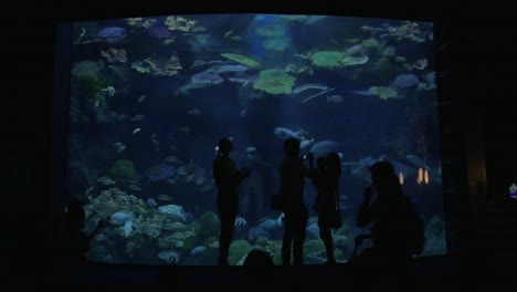 People-visiting-oceanarium