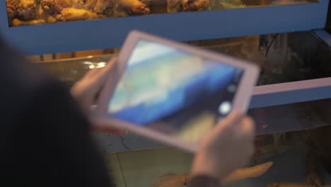 Woman-with-pad-shooting-squid-and-shells-store-aquarium
