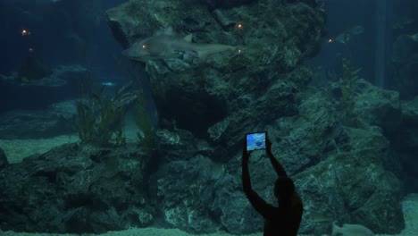 Woman-taking-picture-of-swimming-shark-in-aquarium-Siam-Ocean-World-Bangkok-Thailand