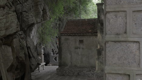 Rock-with-banyan-tree-roots-and-old-house-Vietnam