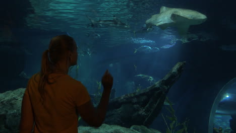 Frau-Betrachtet-Hai-Im-Großen-Aquarium-Siam-Ocean-World-Bangkok-Thailand