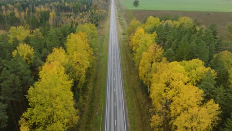 Establishing-aerial-view-of-the-autumn-forest,-yellow-leaves-on-trees,-idyllic-nature-scene-of-leaf-fall,-autumn-morning,-highway-with-cars,-wide-drone-shot-moving-forward,-tilt-up