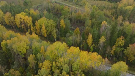 Establishing-aerial-view-of-the-autumn-forest,-yellow-leaves-on-trees,-idyllic-nature-scene-of-leaf-fall,-autumn-morning,-wide-birdseye-drone-shot-moving-forward,-tilt-down