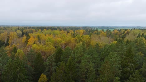 Establishing-aerial-view-of-the-autumn-forest,-yellow-leaves-on-trees,-idyllic-nature-scene-of-leaf-fall,-autumn-morning,-wide-drone-shot-moving-forward