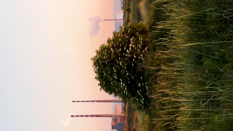 Golden-Hour-Urban-Landscape:-Poolbeg-Towers-and-Dublin-Waste-to-Energy-Facility-Amid-Clear-Skies-|-Vertical-Video-of-Sustainable-Cityscape