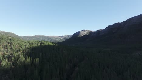 Lush-Coniferous-Forest-And-Mountains-In-Hildremsvatnet,-Norway---drone-shot