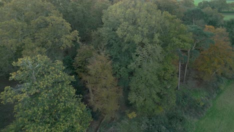 Retreating-slowly-while-taking-an-aerial-drone-shot-of-some-wooded-areas-in-the-outskirts-of-Thetford,-located-in-Norfolk-county-in-Great-Britain