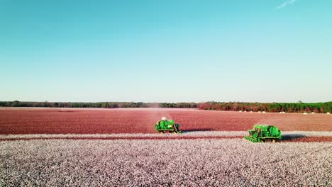 Two-green-cotton-combines-pickers-meets-on-a-huge-farm-field