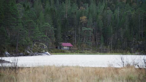 Tranquil-Lake-And-Surrounding-Lush-Vegetation-In-Hildremsvatnet,-Norway---wide-shot