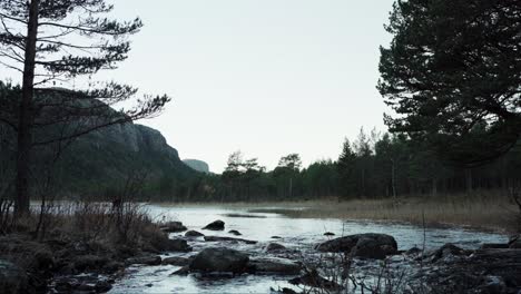 River-Flowing-Through-The-Forest-In-Hildremsvatnet,-Norway---static-shot