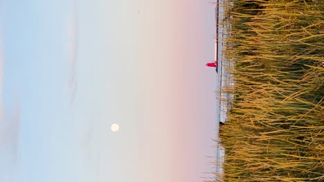 Golden-Sunset-Serenity:-Poolbeg-Lighthouse,-Moonrise,-and-Coastal-Beauty-in-Dublin,-Ireland-|-Vertical-Video