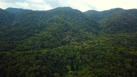 Bosque-Impenetrable-De-Bwindi---Montaña-En-Una-Exuberante-Selva-Tropical-En-Uganda,-África-Oriental