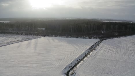 Aerial-flight-view-on-snow-covered-fields,-forest-through-snow-storm-with-sun