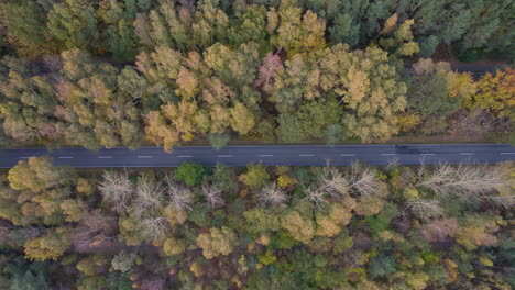 Road-through-autumn-forrest,-drone-view-looking-down-panning