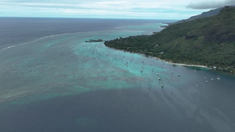 Aerial-View-Of-Sailboats-Sailing-In-The-Ocean-Of-Opunohu-Bay,-Moorea,-French-Polynesia