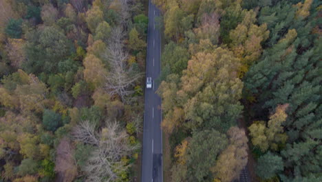 Aerial-Drone-Revealing-View,-Road-Through-Autumn-Forrest