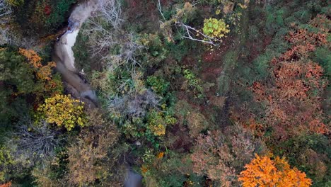 An-aerial-view-over-colorful-trees-and-a-curvy-stream-in-a-large-park-on-a-sunny-day-in-autumn