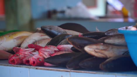 Verschiedene-Frische-Fische-Auf-Dem-Tisch-Zum-Verkauf-Auf-Dem-Fischmarkt---Indonesien