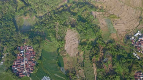 Luftaufnahme-Der-Tropischen-Ländlichen-Landschaft-Von-Oben-Nach-Unten-Mit-Blick-Auf-Siedlungen-Und-Landwirtschaftliche-Felder,-Die-Aufgrund-Der-Extremen-Trockenzeit-Beginnen-Auszutrocknen---Indonesien