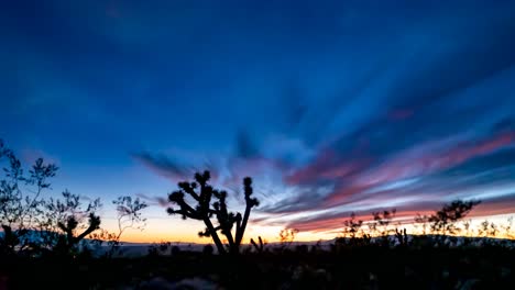 Sunset-to-nighttime-Milky-Way-time-lapse-with-a-Joshua-tree-in-the-foreground