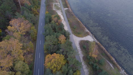 Vista-Por-Drones-De-La-Carretera-A-Lo-Largo-De-La-Costa-Y-El-Bosque-Otoñal